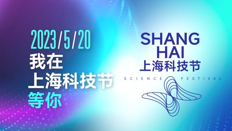 企业级搜索实时索引：揭秘其核心技术与排名因素