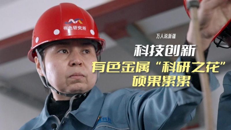 低代码平台：企业数字化转型的加速器**